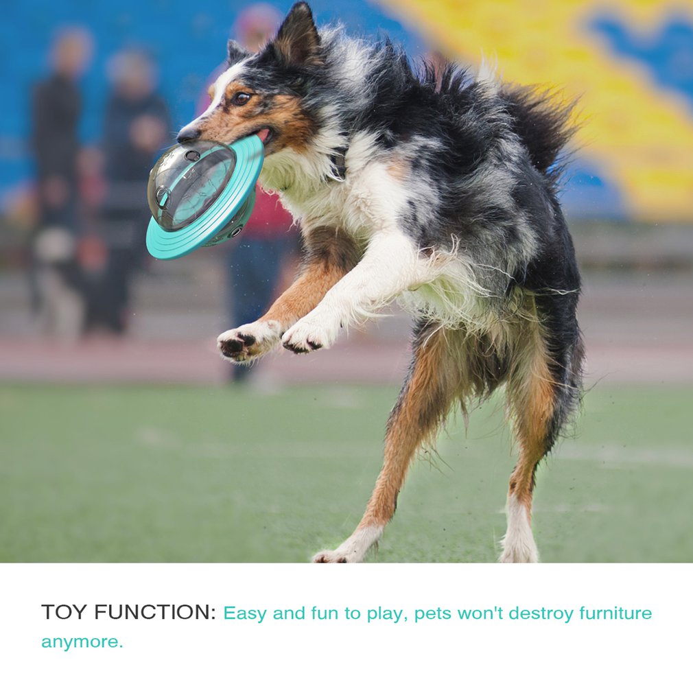 Juego de platillo volador de comida para perros o gatos, ideal para entrenamiento