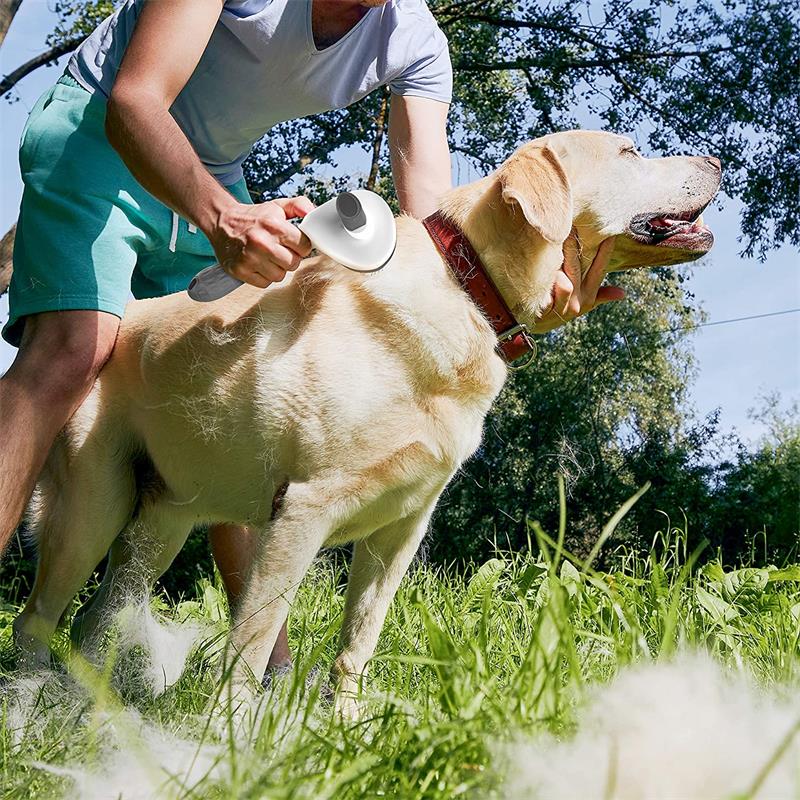 Cepillo de pelo autolimpiable para perros y gatos