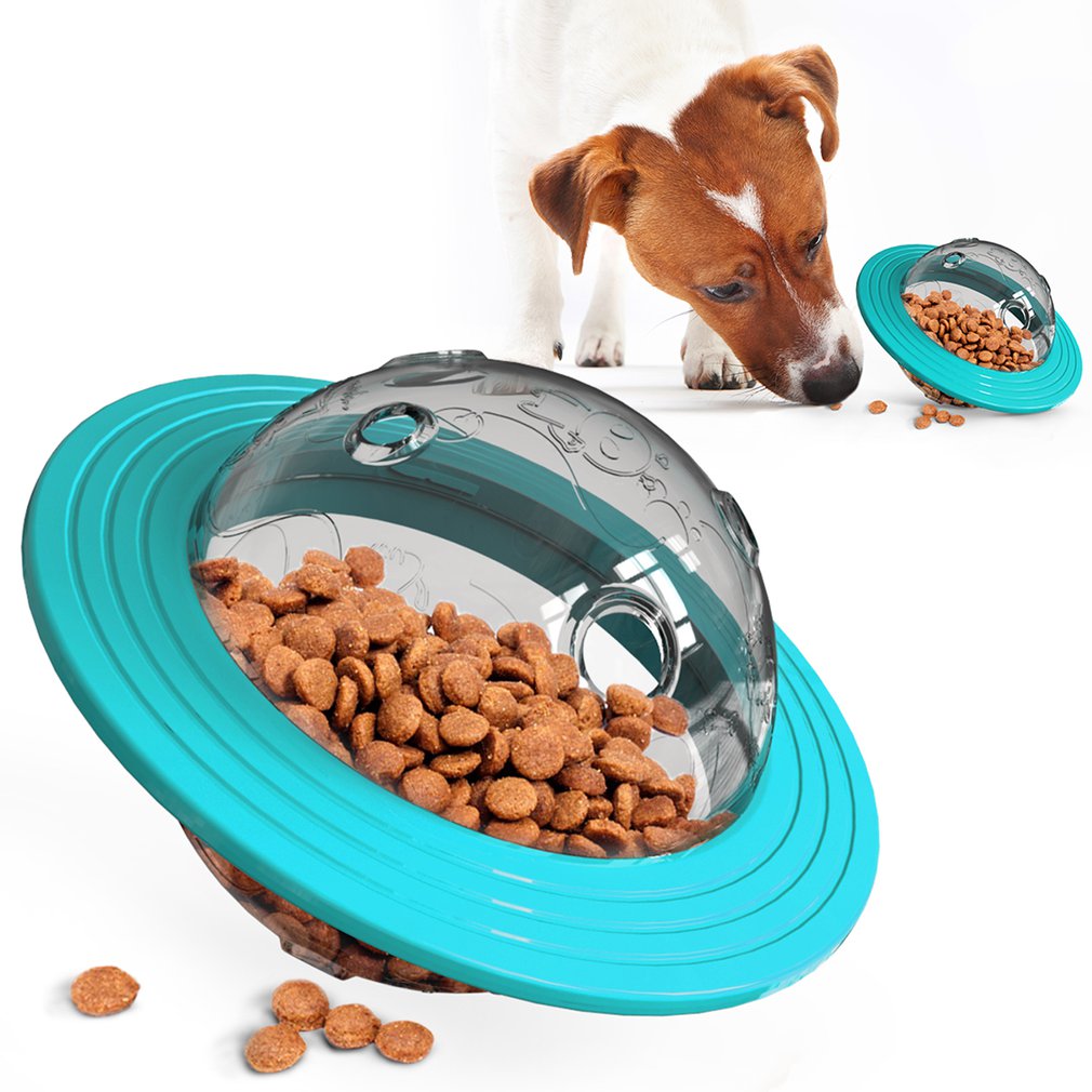 Juego de comida para perros - Bema Store